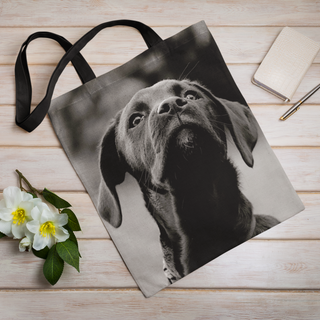 Lina vai kokvilnas auduma maisiņš «Melns suns» | Kolekcija «Melnbalts»